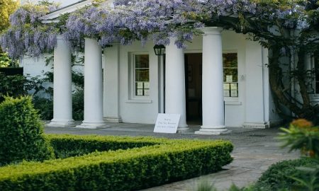 purple-flowers-and-white-concrete-building