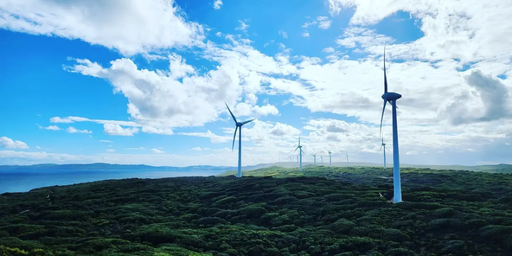 Why Does Australia Use Wind Energy To Drive Green Progress