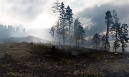 wildfires