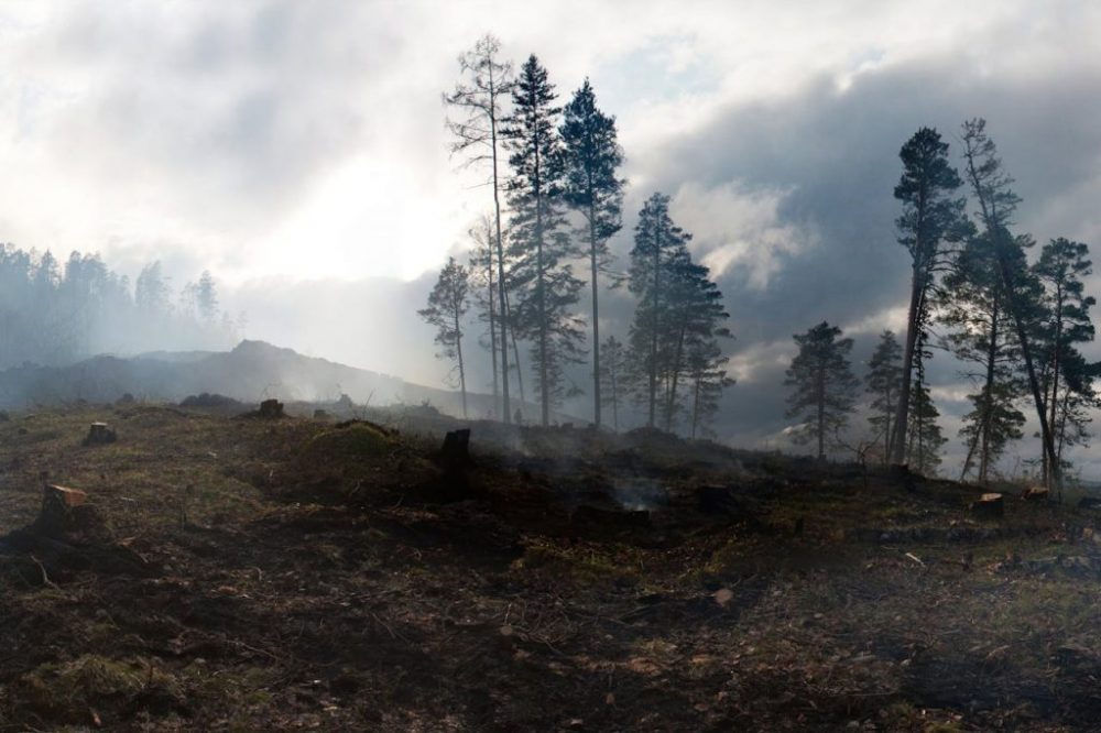 wildfires